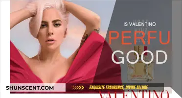 Valentino Perfume: Is It Worth the Hype?