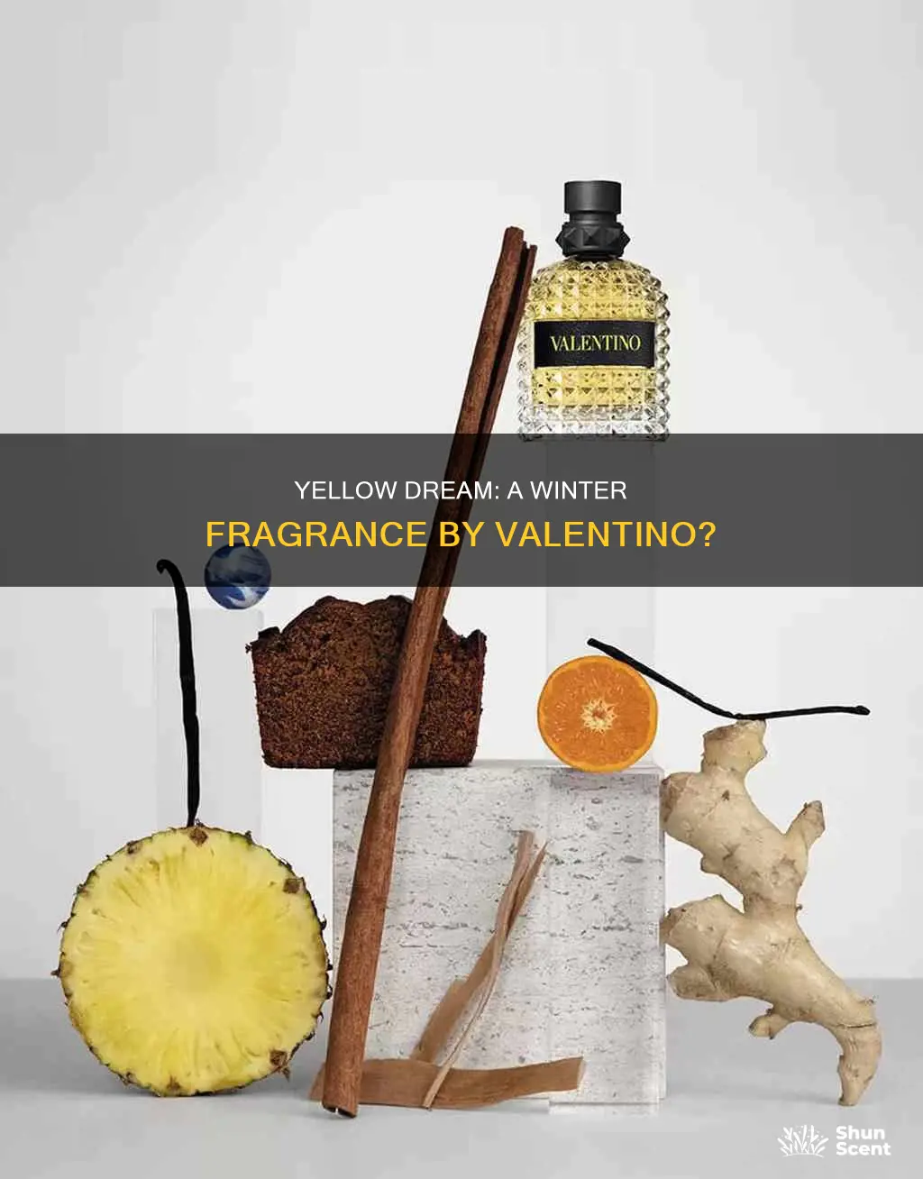 is valentino yellow dream a winter fragrance