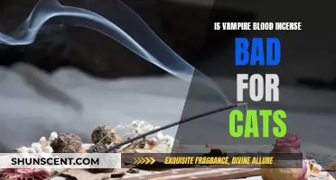 Incense and Pets: Is Vampire Blood Incense Safe for Cats?