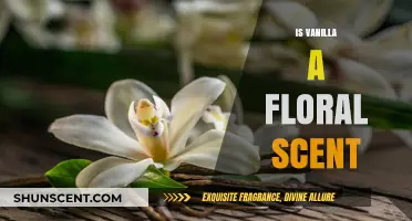 Vanilla's Aromatic Mystery: Exploring Its Floral Notes and Origins