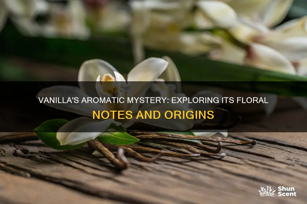 is vanilla a floral scent