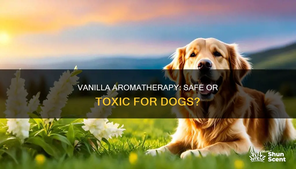 is vanilla aroma therapy safe for dogs