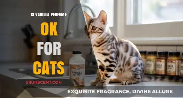 Is Vanilla Perfume Safe for Cats? A Pet-Friendly Scent Guide