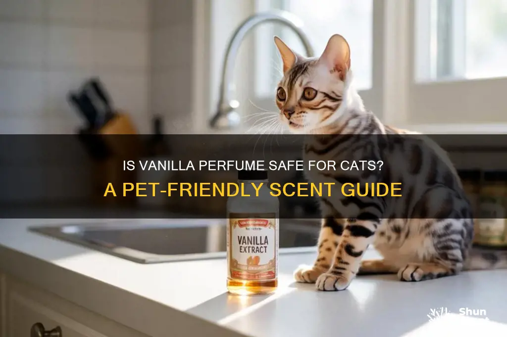 is vanilla perfume ok for cats