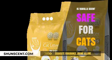 Is Vanilla Scent Safe for Cats? A Comprehensive Guide for Pet Owners