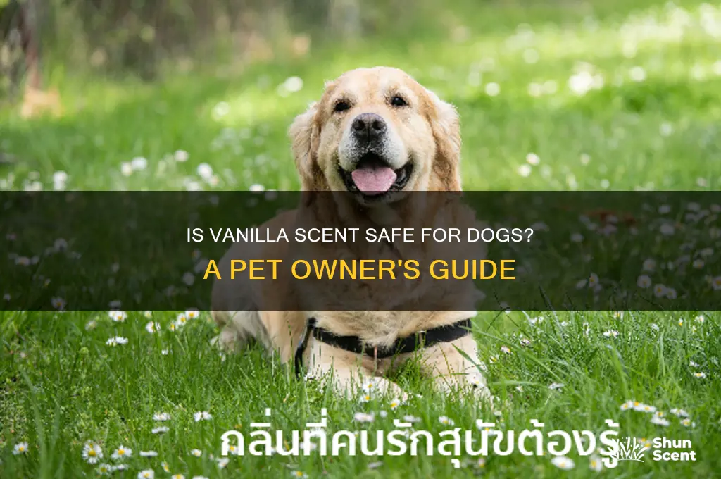 is vanilla scent safe for dogs