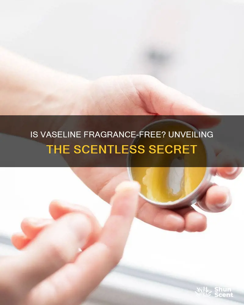 is vaseline fragrance free