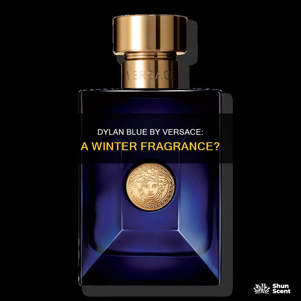 is versace dylan blue a winter fragrance