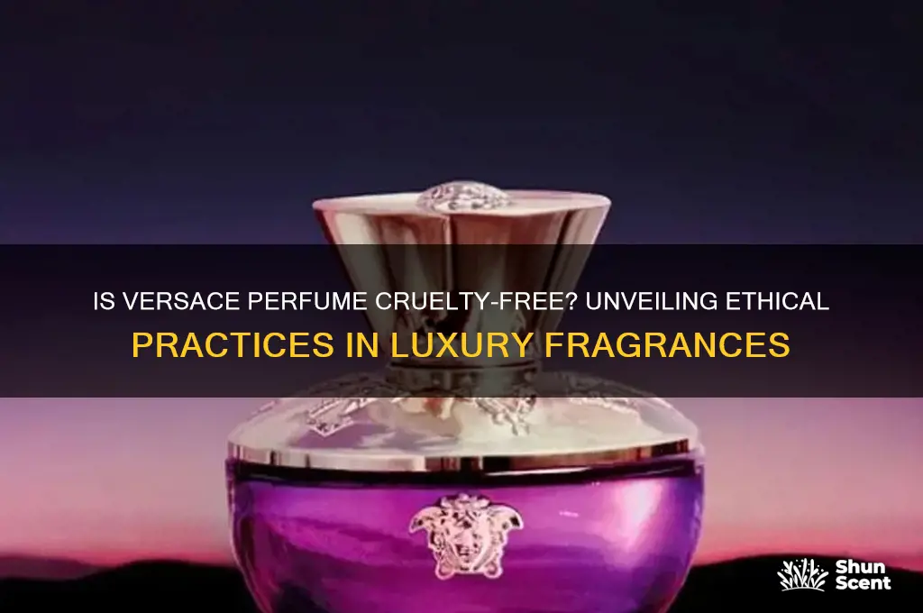 is versace perfume cruelty free
