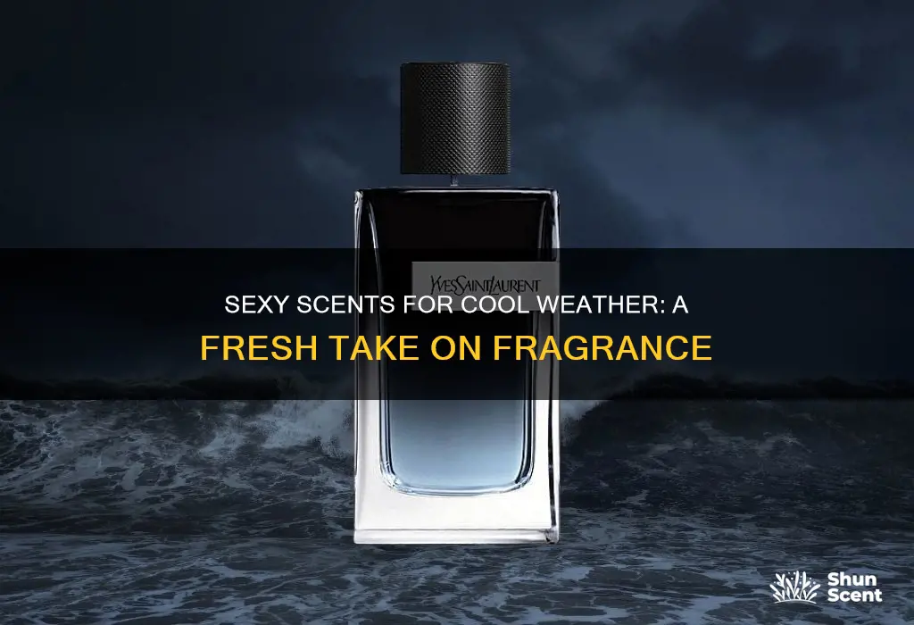 is very sexy a cool weather cologne