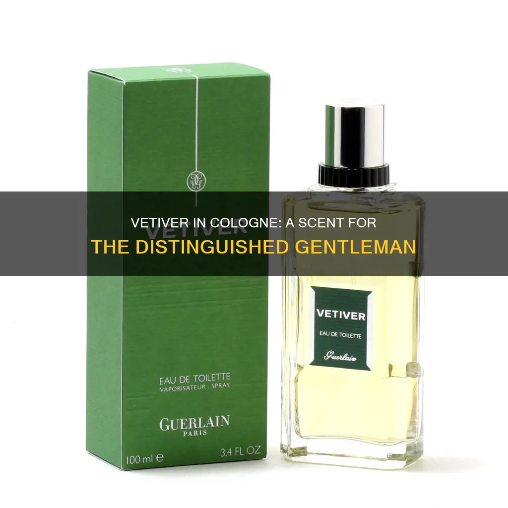 is vetiver in cologne for older men