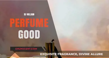Is Villain Perfume Worth the Hype? A Honest Review