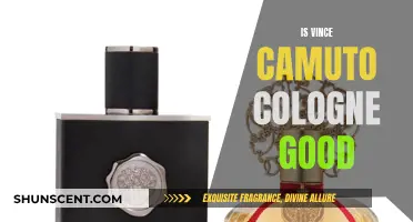 Vince Camuto Colognes: Are They Worth the Hype?