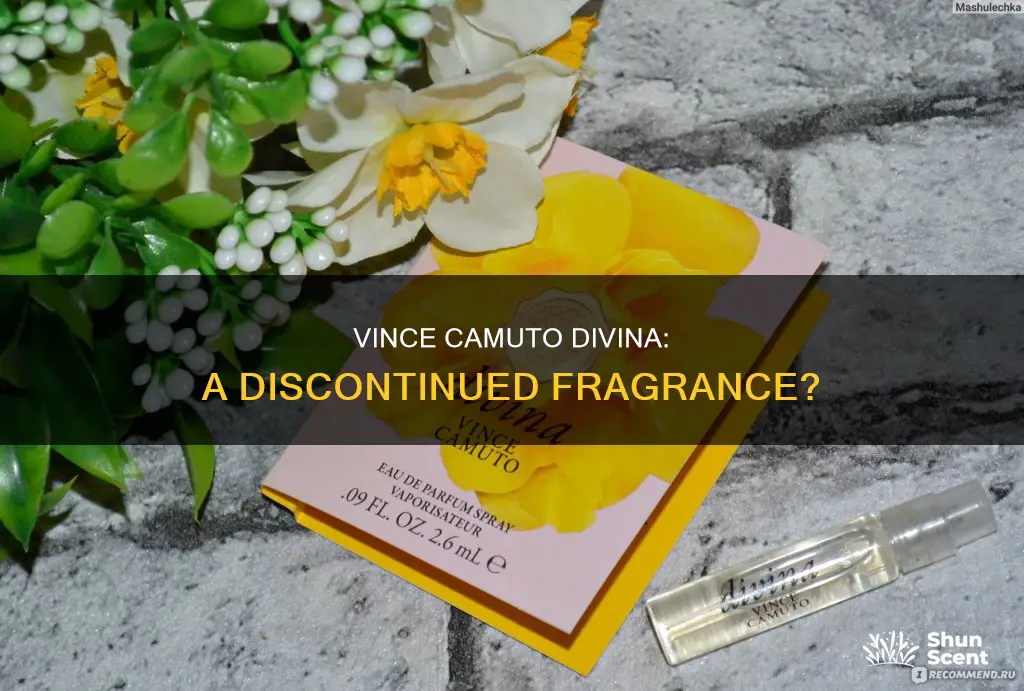 is vince camuto divina a discontinued fragrance