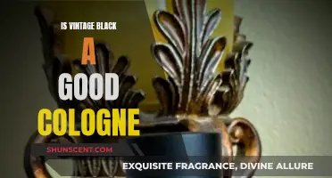 The Allure of Vintage Black: A Timeless Fragrance for Men