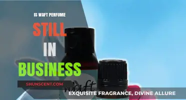 Is Waft Perfume Still in Business? Exploring the Brand's Current Status