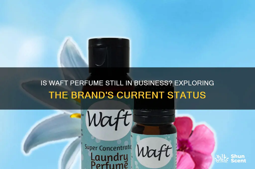 is waft perfume still in business