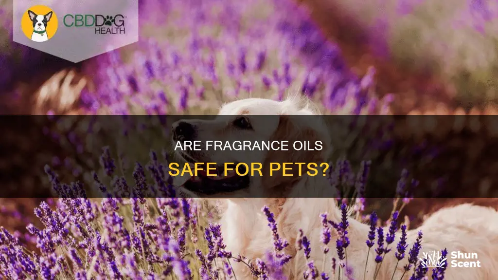 is warming fragrance oil pet friendly