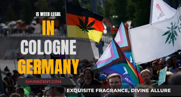 Weed in Cologne, Germany: What's the Legal Status?