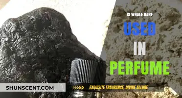 Whale Vomit in Perfumes: Myth or Priceless Ingredient?