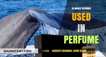 Whale Blubber in Perfumes: Myth, Reality, and Ethical Concerns