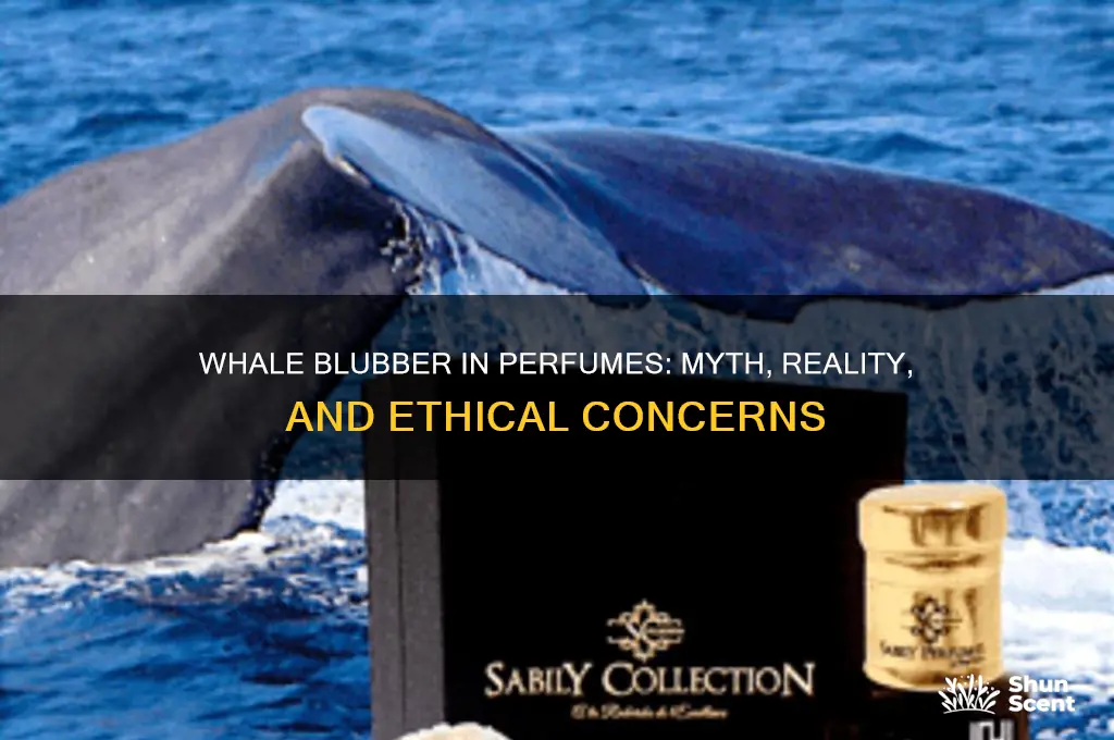 is whale blubber used in perfume