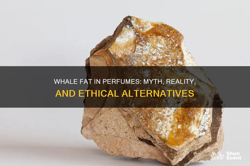 is whale fat used in perfume