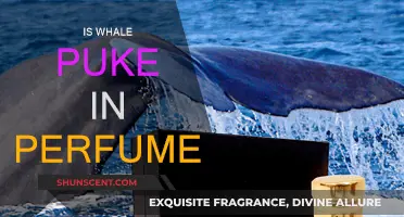 Whale Puke: The Secret Behind Your Favorite Perfume
