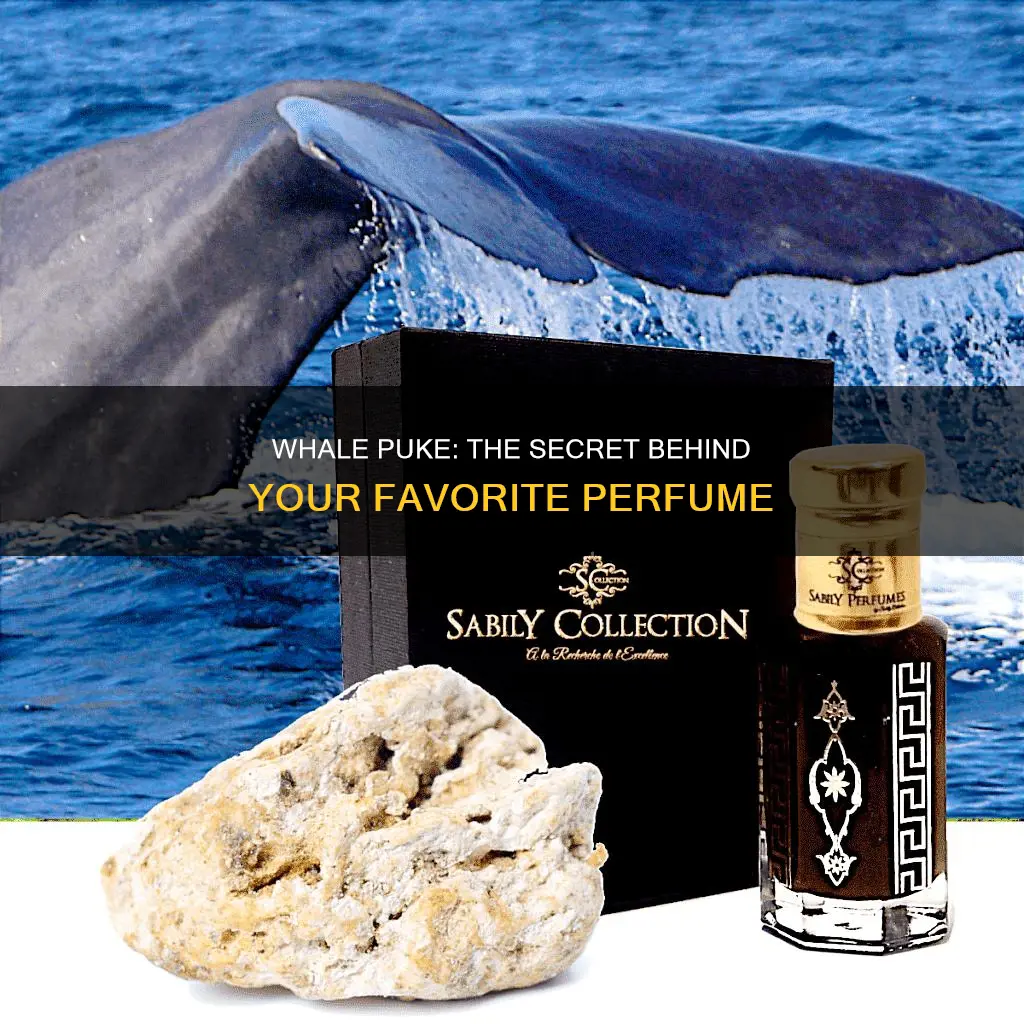 is whale puke in perfume