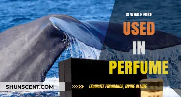 Whale Puke in Perfume: Myth or Luxury Ingredient?