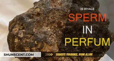 The Truth About Whale Sperm in Perfume