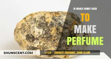 Whale Vomit: The Secret Ingredient in Your Perfume?