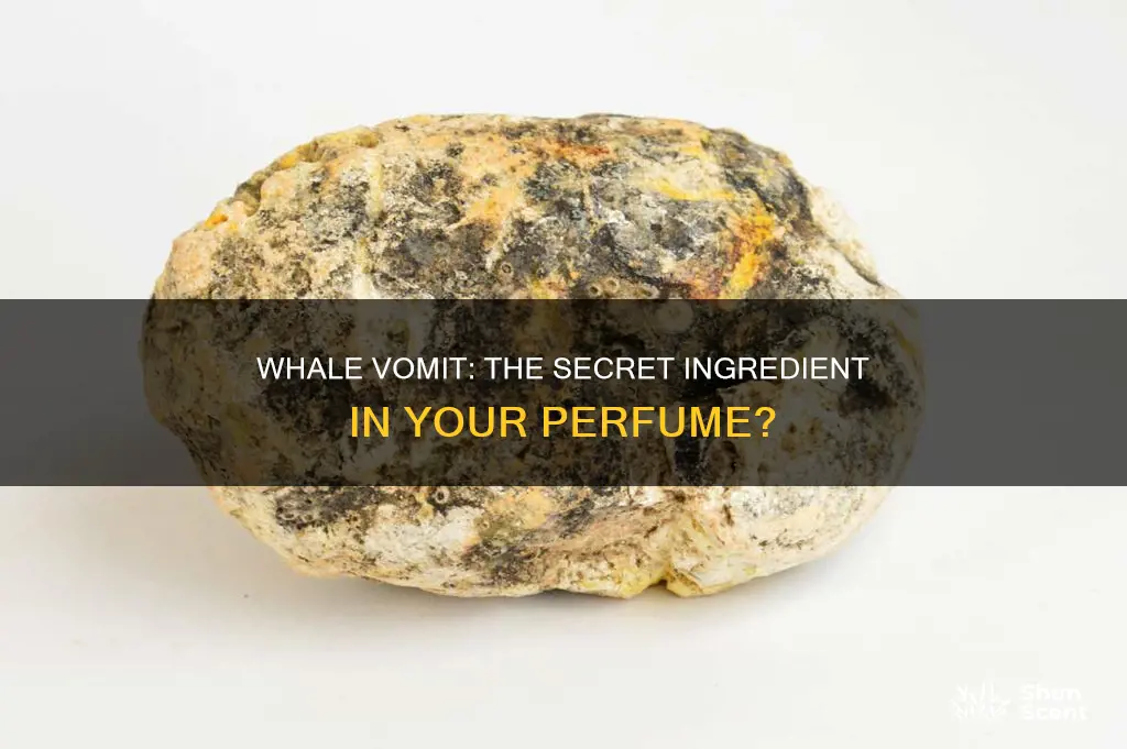 is whale vomit used to make perfume