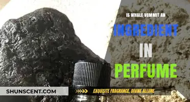 Whale Vomit in Perfume: Unveiling the Ambergris Mystery