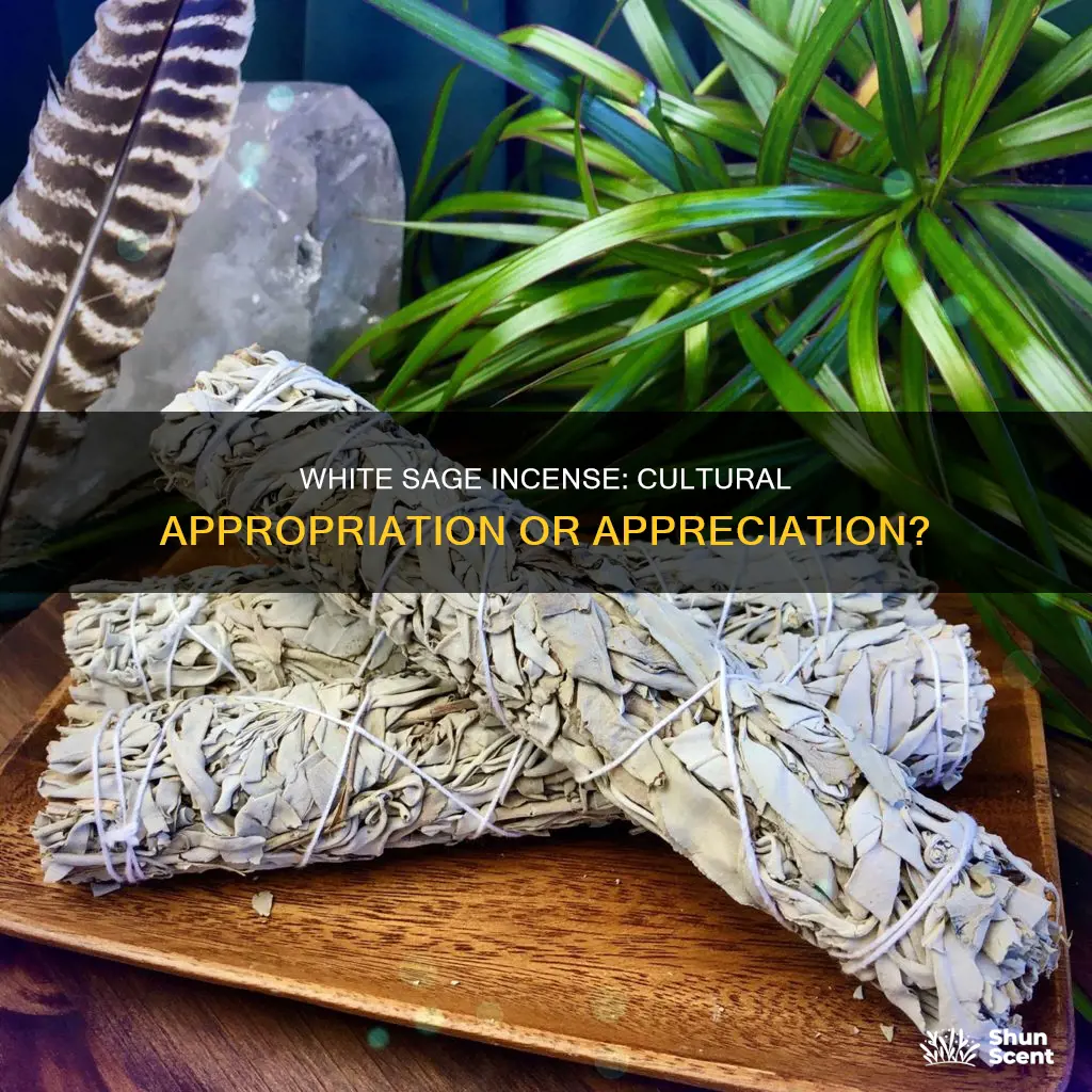 is white sage incense a closed practice