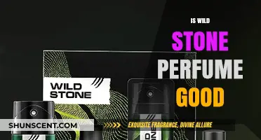 Is Wild Stone Perfume Worth It? A Honest Review and Analysis