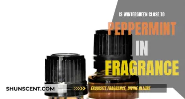 Wintergreen's Pepperminty Essence: A Fragrant Comparison