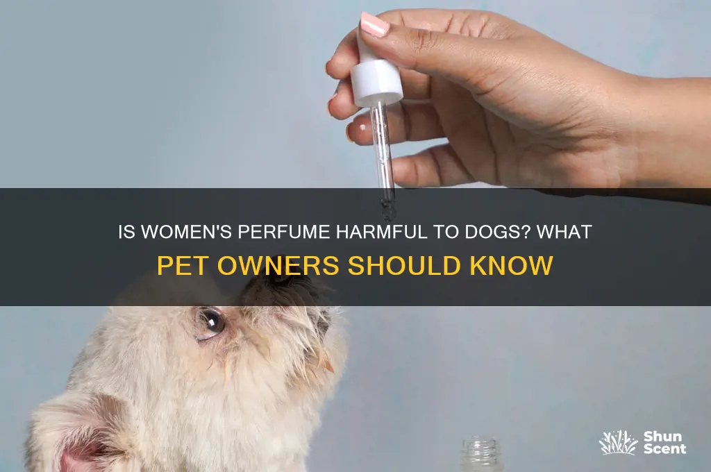 is women s perfume dangerous fr for do g s