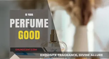 Is Yara Perfume Worth It? A Honest Review and Scent Guide