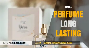 Does Yara Perfume Last All Day? A Longevity Review