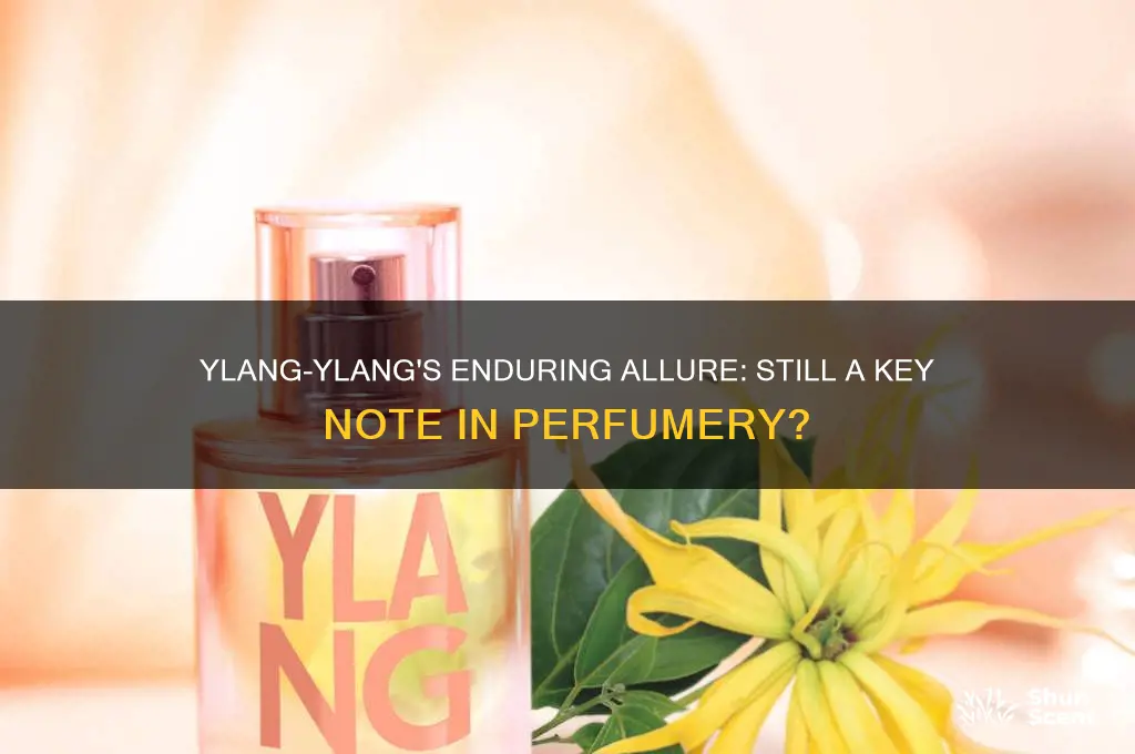 is ylang lyanh still used for perfume
