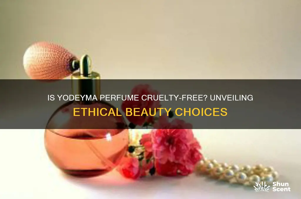 is yodeyma perfume cruelty free