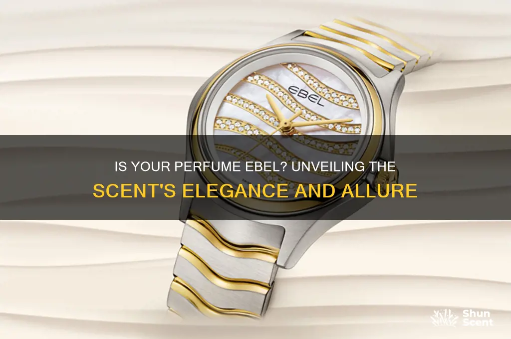 is you perfume ebel