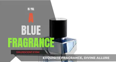 Is YSL's Blue Fragrance a Game-Changer?