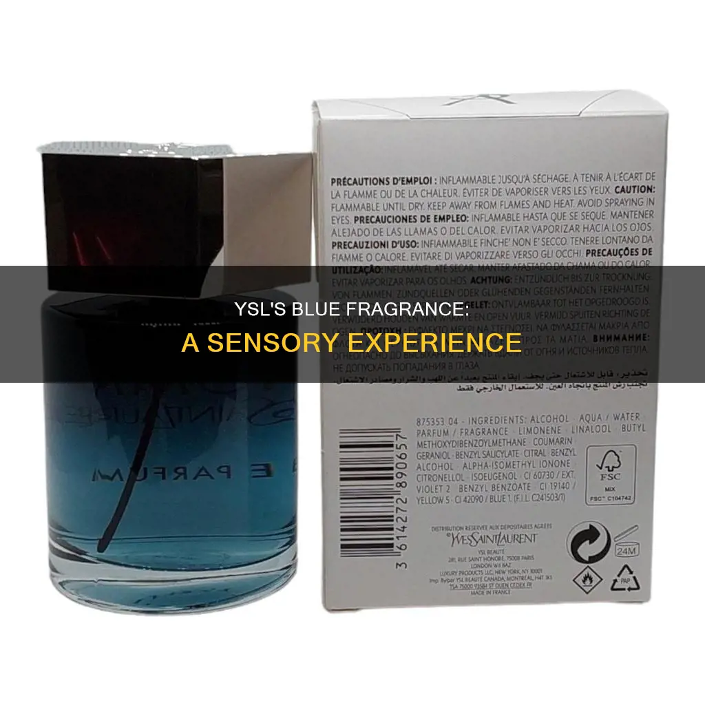 is ysl a blue fragrance