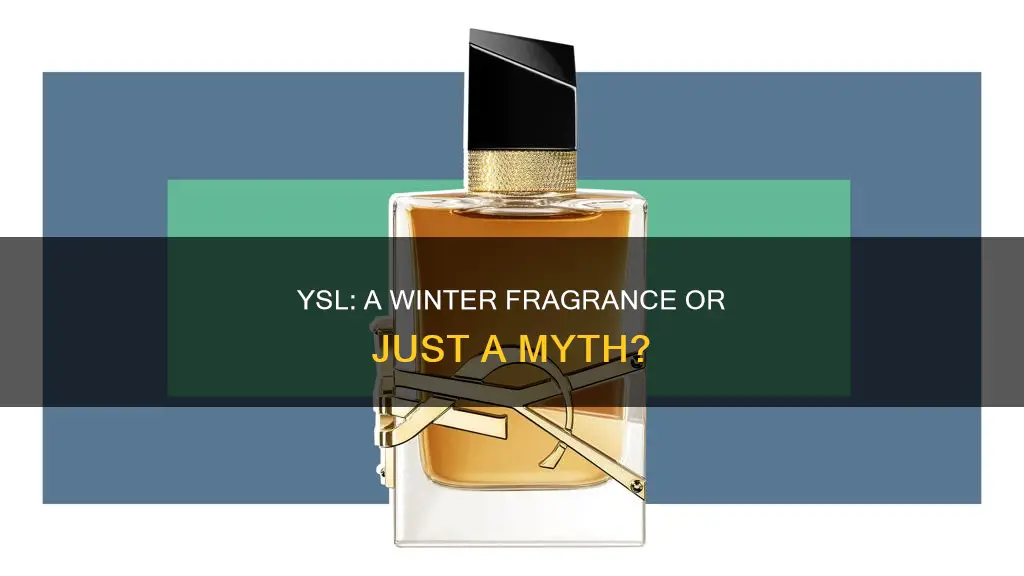 is ysl a winter fragrance