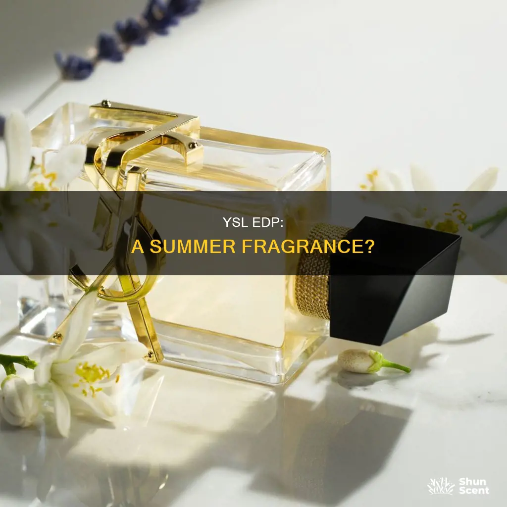 is ysl edp a summer fragrance