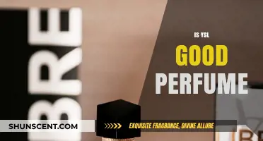 Is YSL a Good Perfume? A Comprehensive Review and Analysis