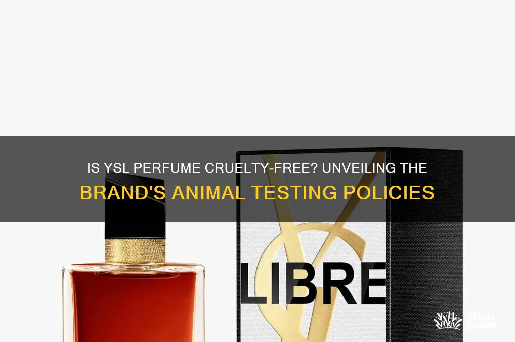 is ysl perfume cruelty free
