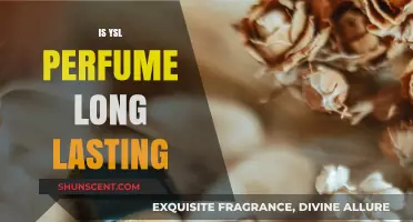 Does YSL Perfume Last All Day? A Longevity Review